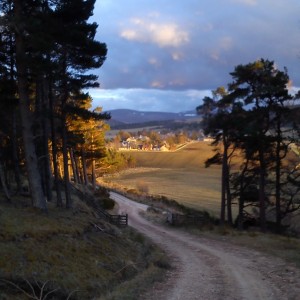 I deviated from the route a little to get this view of Tomintoul from above as the sun was setting.