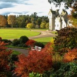 Castle with acers